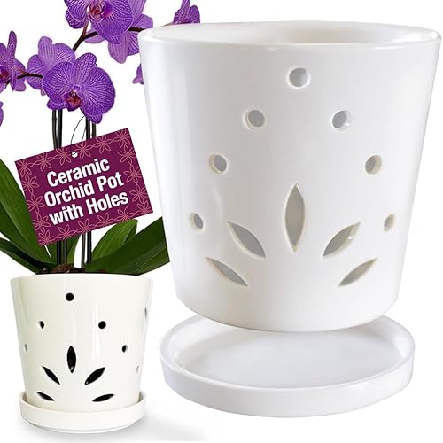 Atri Maceta de cerámica para orquídeas con agujeros de 65 pulgadas maceta duradera 100 de porcelana con agujero de drenaje y platillo 6 pulgadas de