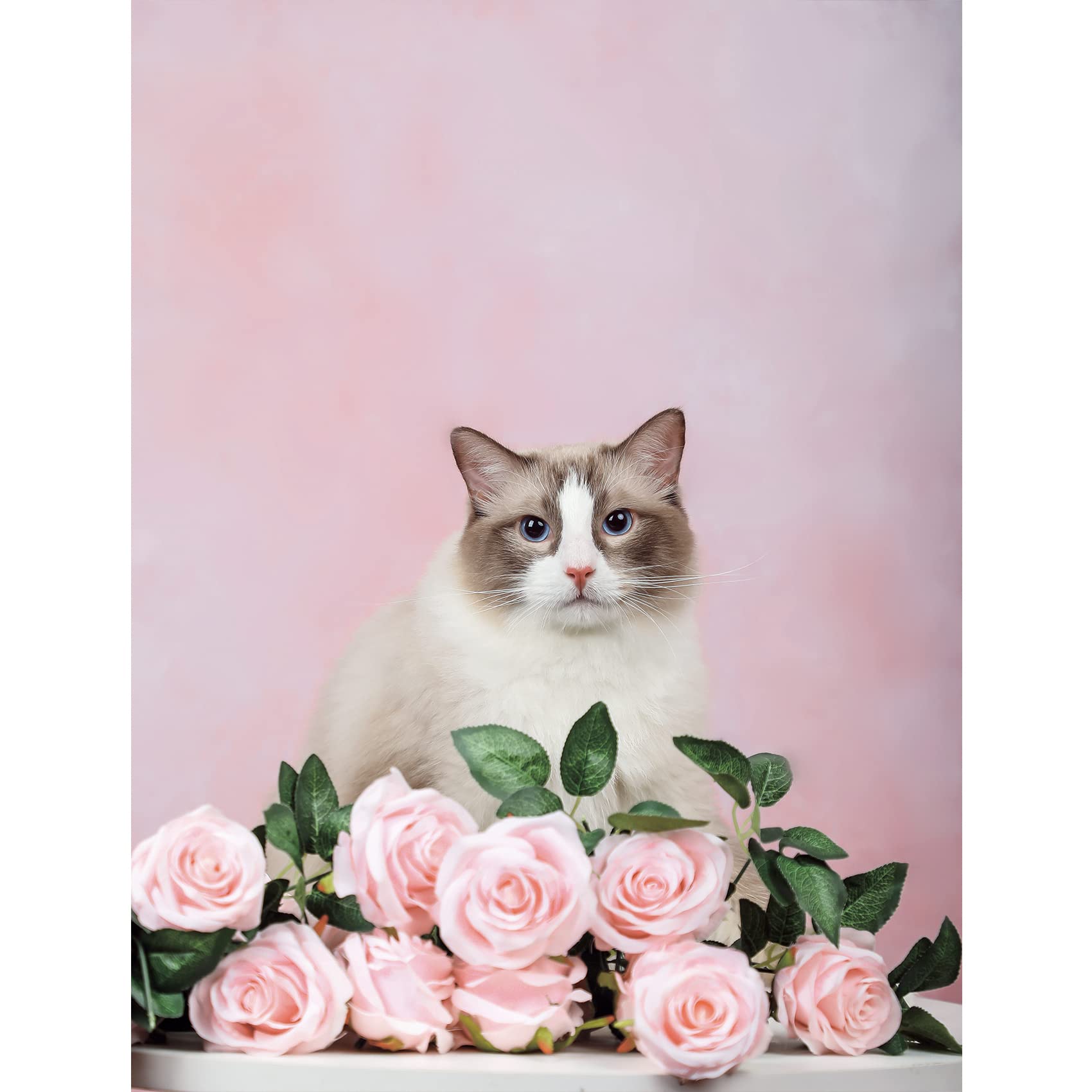 https://m.media-amazon.com/images/I/61dE6FlmAaL.jpg