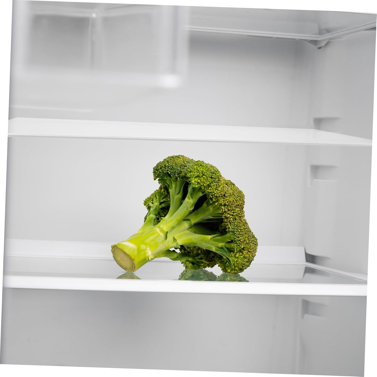 POPETPOP Tempered Glass Partition Divider Fridge Shelf Organizer Easy Install Fridge Storage