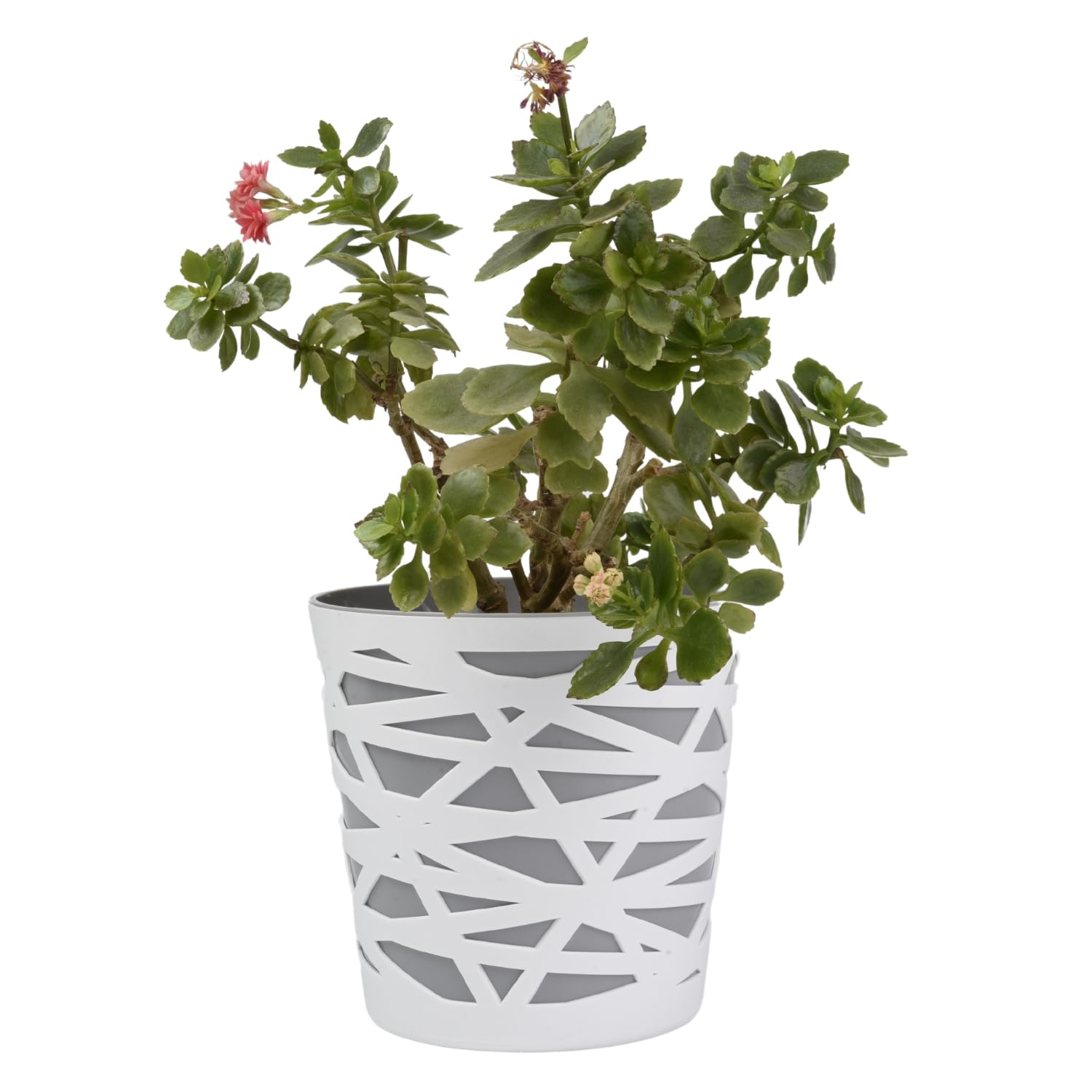 B2C Flowerpot plant pot planter Crystal Modern Decorative Daizy 7 colours 4 sizes (17cm, Grey)