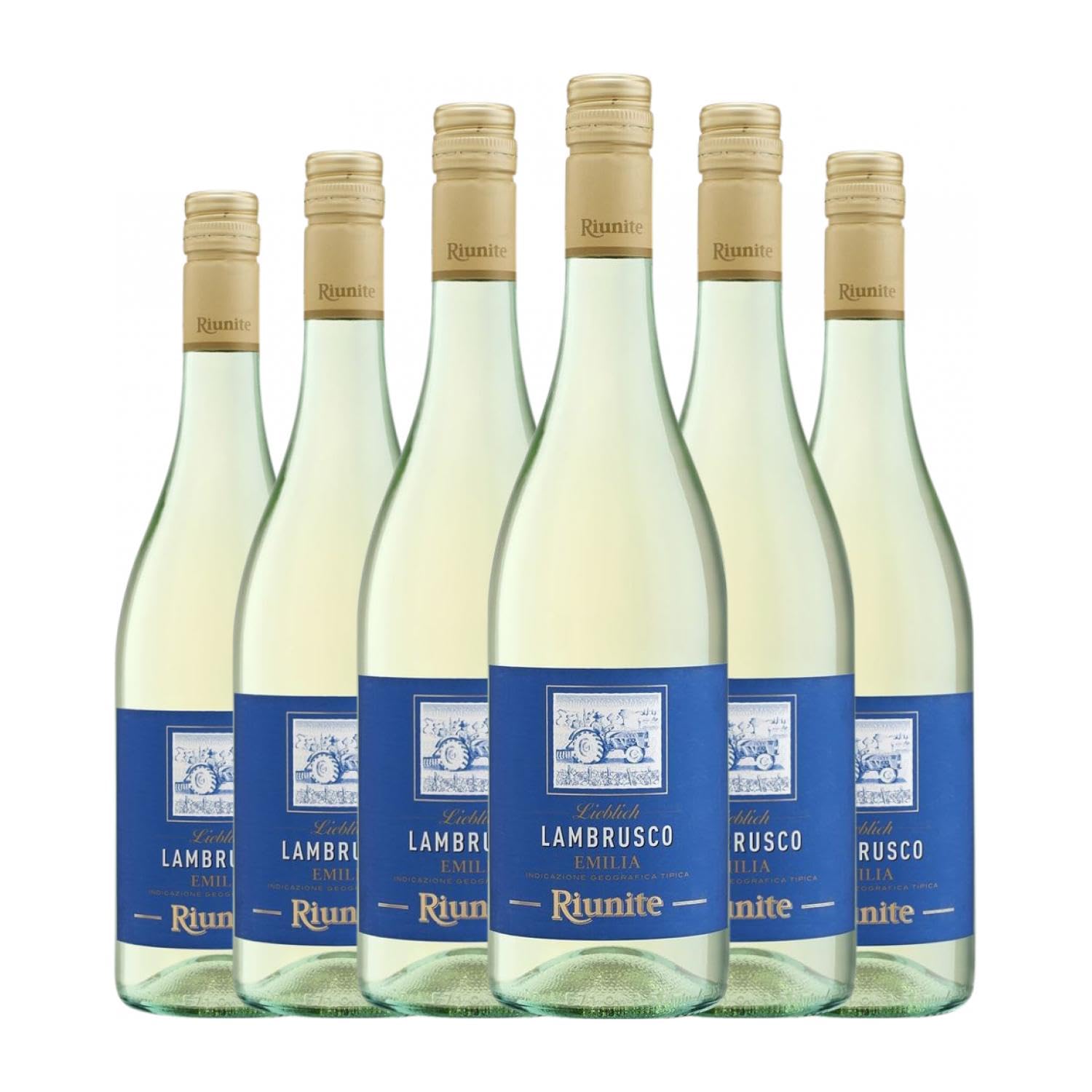 Riunite Bianco Lambrusco Marani Emilia Romagna 75 cl Weißwein (Karton mit 6 Flaschen von 75 cl)