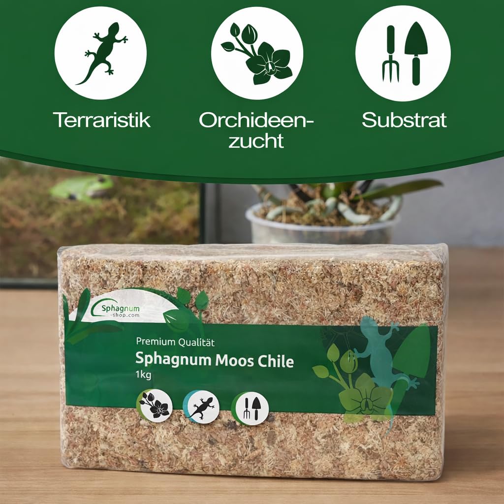 Mech torfowiec do terrarium i storczyków z Chile 1 x 1000 g dla storczyków i terrarystyki - Idealne podłoże i patyki z mchu