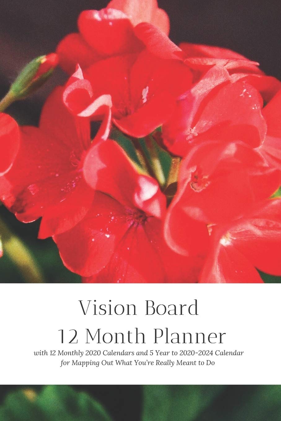 Buy Vision Board 12 Month Planner, 12 Month 2020 , 5 Year 2020-2024 for ...