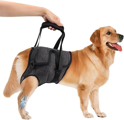 Arnés de elevación ajustable para perros medianos y grandes, soporte de pierna trasera (talla XL)