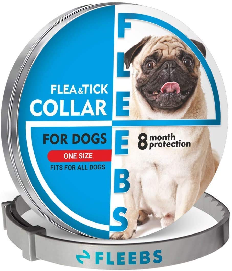 hibiscrub dog shampoo