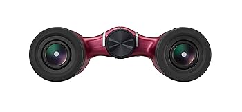 Nikon 双眼鏡 アキュロン W10 8x21 ダハプリズム式 8倍21口径 ピンク ACW108X21PK Amazon | Nikon 双眼鏡 アキュロン W10 8x21 ダハプリズム式 8倍