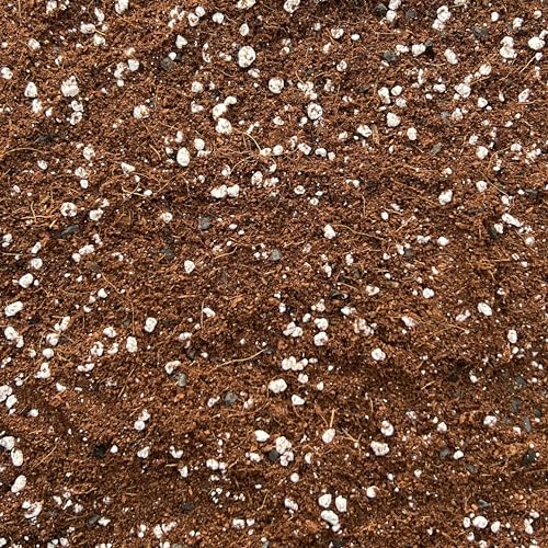 Coco Perlite Mix 70/30 with activated biochar - Enhanced Potting Soil Mix for Optimal Plant Growth and Health (1L)