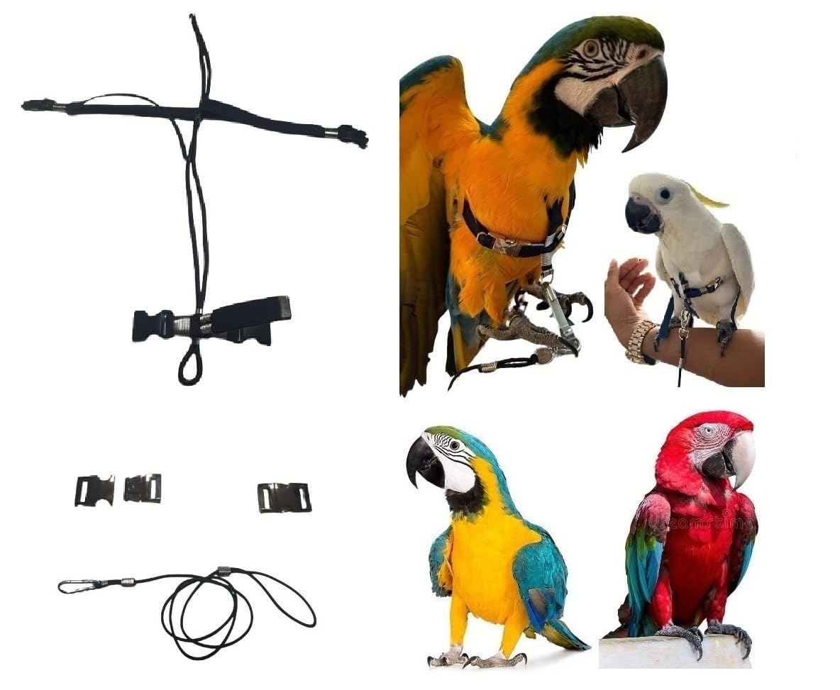 Pechera ajustable para loros, talla Buceo o cacatúa, elástico de 15 mm, 2 enganches de plástico o acero ajustables, cuello de 4 mm negro, correa de 4 mm negra PR (hebillas de metal)
