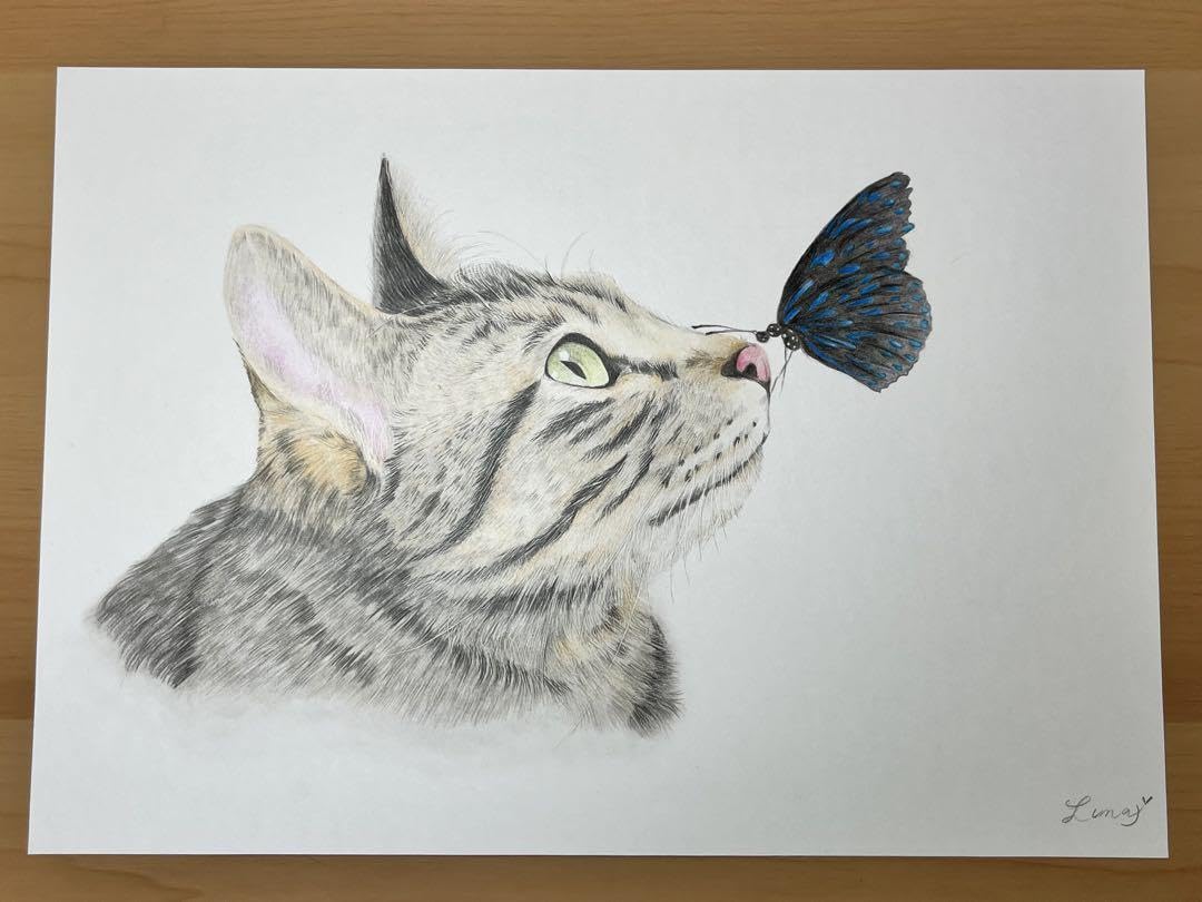 Amazon.co.jp: 猫と蝶々 A4サイズ 猫の絵 色鉛筆画 原画 動物画 