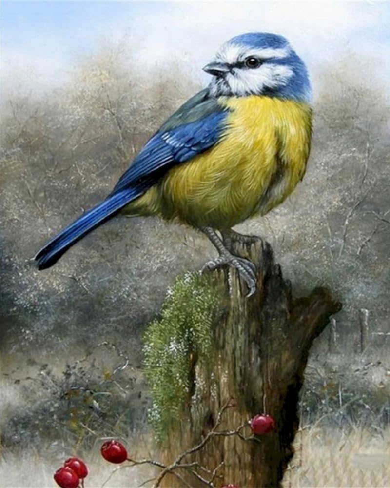 XIAOYOUQIAN Winter Blue Tit,Paint by Number Kit for Adults Beginner, DIY Acrylic Hand Oil Paintin Kits On Canvas Art Crafts for Home，16 X20 Inch，with Frame
