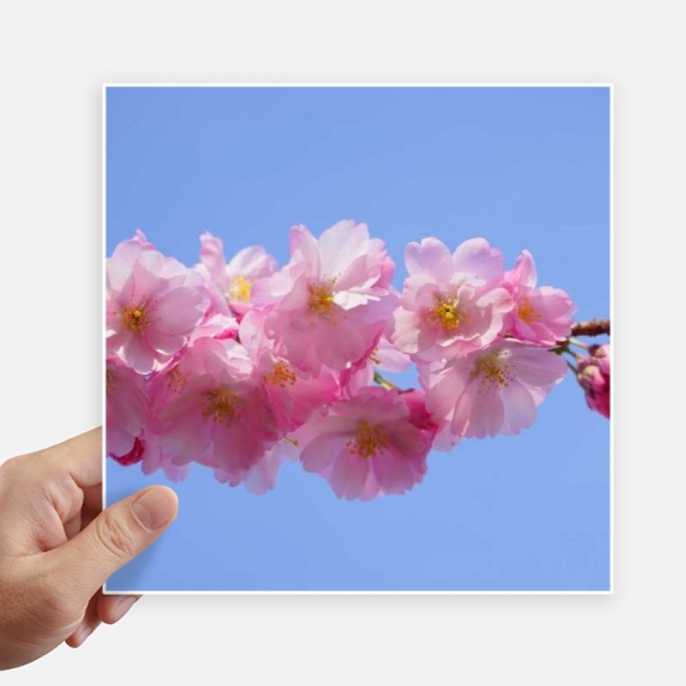 Autocollant carré bleu ciel rose belle fleurs 20 cm pour déco mur et valise x4