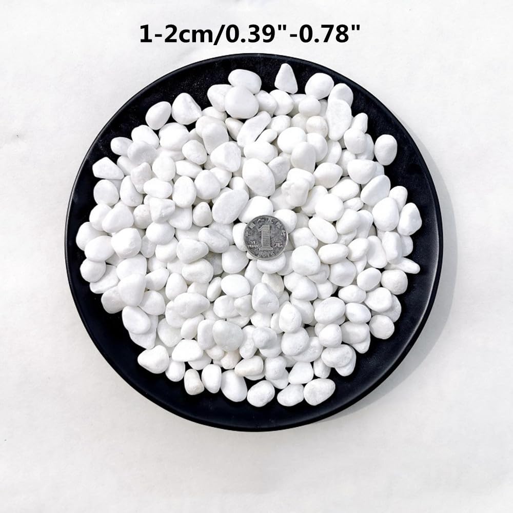 Pierres Blanches Décoratives – Gravier Miniature Pour Jardin, Aquarium Et Pots (1kg)