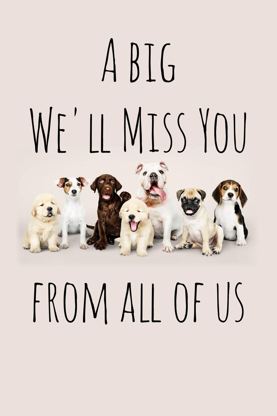 A big We'll Miss You from all of us: Perfect goodbye gift for coworker that is leaving / going away gift for your co worker, boss, manager, employee.