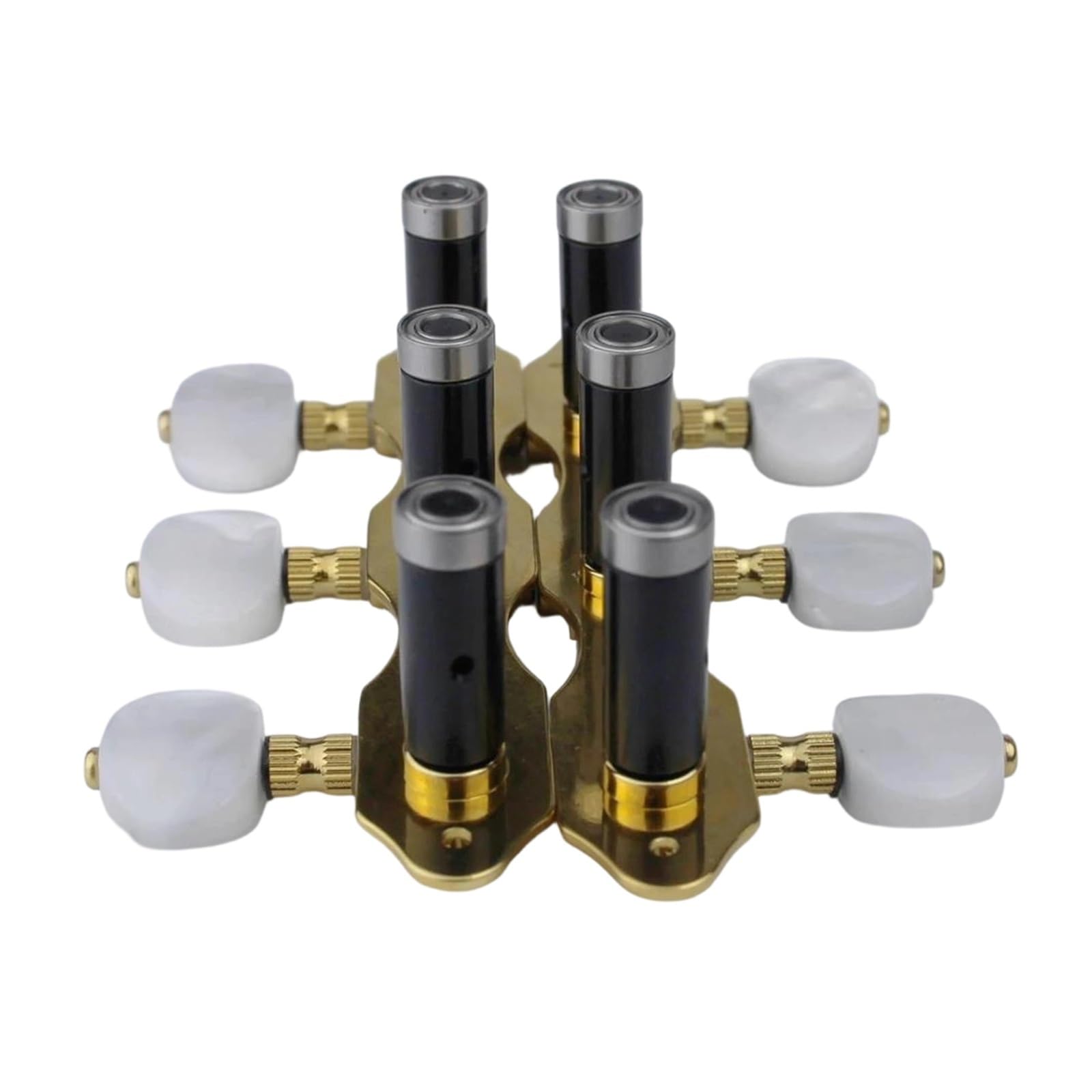 Un Set Di Piroli Per Chitarra Classica Perni In Acciaio E Accessori Placcati In Oro
