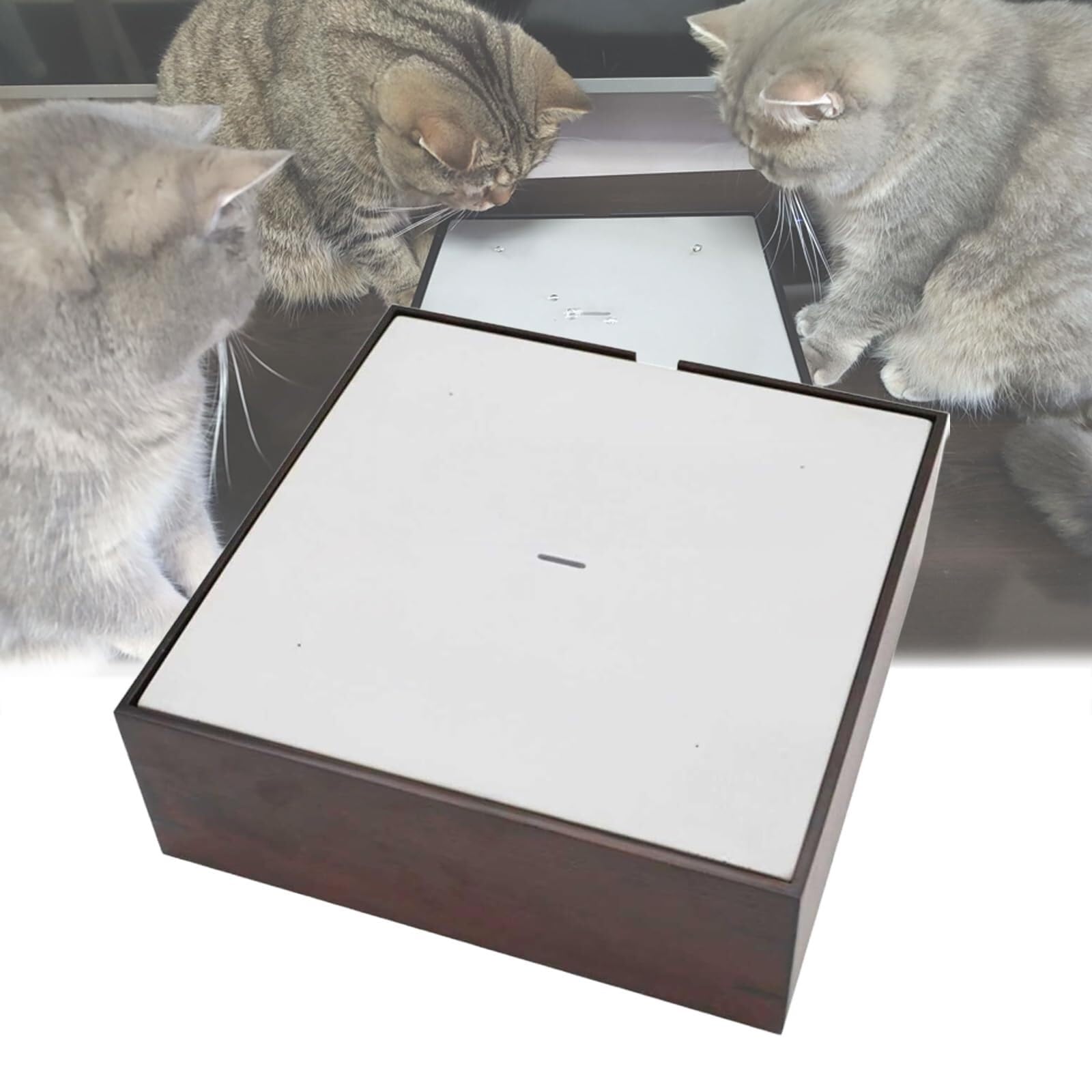 Jouet pour chat à goutte d'eau automatique résolvant l'ennui des félins seuls avec filtre