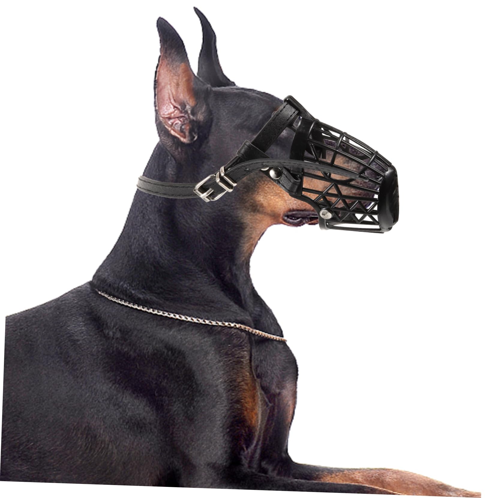 INOOMP Museruola per Cani in Plastica con Cestello Regolabile e Cinturino in Pelle Pu Nero, Set da 7 Unitá Anti-morso Traspirante per Cani e Animali Domestici