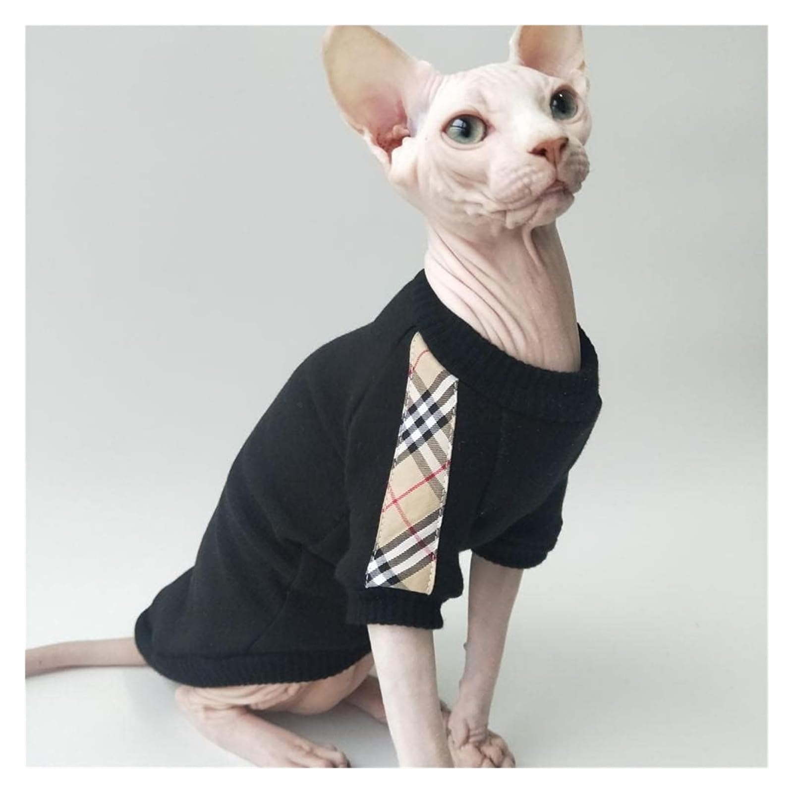 SPHYNX CAT Ubranka dla kotów z fakturą, bawełniana czarna koszulka z dodatkiem aksamitu,Odzież dla kotów(Free,M)