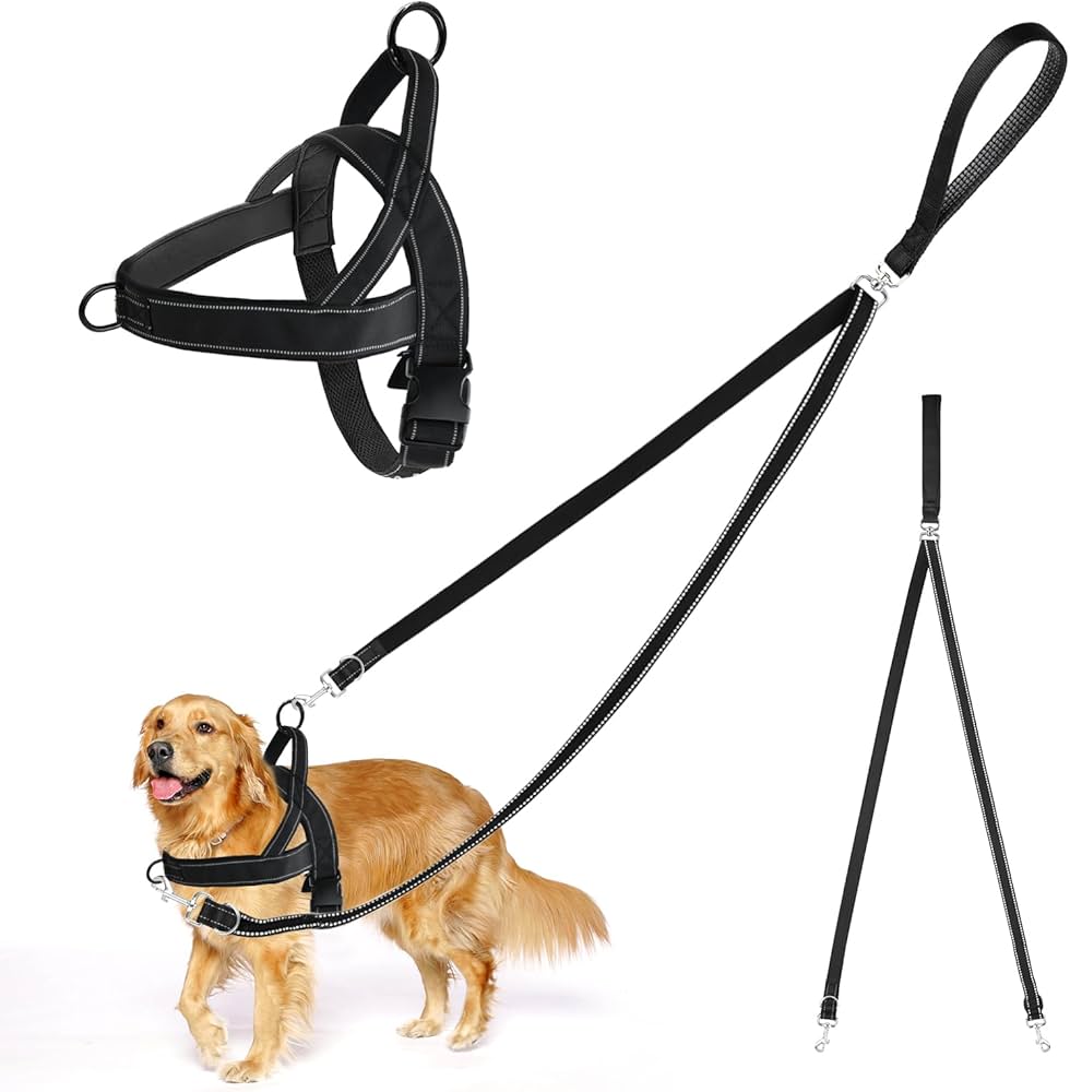 Qopqogi katta qirqilgan Aleksis Ford pornosini tomosha qiling