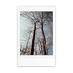 Review Image by H. Drallmeyer