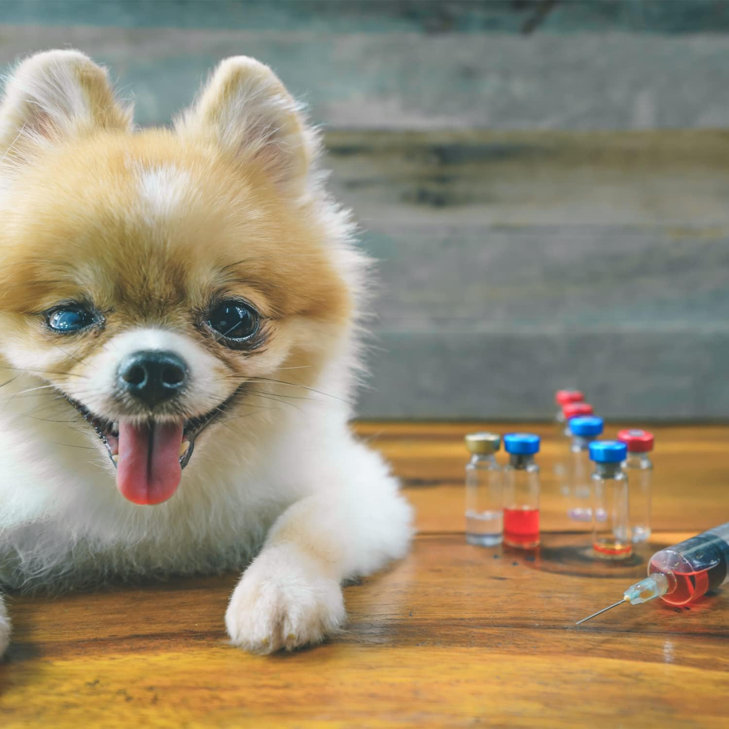 12 Pack 20ml Plastic Syringe Luer Lock with 18Ga, Measuring Syringe Tool for Scientific Labs, Epoxy Resin, Craft, Animals Injection, Machine Oil, Ink or Glue Applicator, Individual Package : Industrial & Scientific