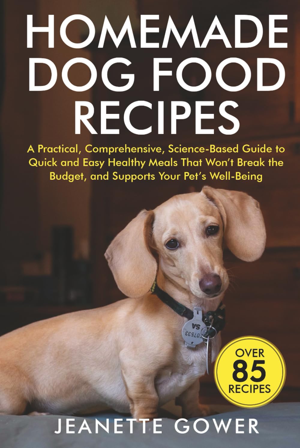 Homemade Dog Food Recipes: A practical, comprehensive, science-based guide to quick and easy healthy meals that won't break the budget, and supports