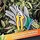 GRÜNTEK Gartenschere Blumenschere GERFALKE, 48 mm Klinge aus japanischem SK5 Stahl, ergonomische Griffform, präzises Schnittergebnis, Pflanzenschere Teflon beschichtet, Bypass Rebschere Rosenschere