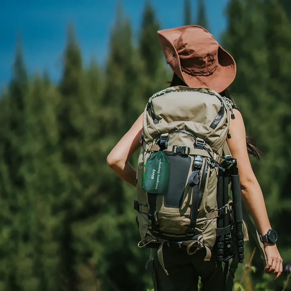 View 5