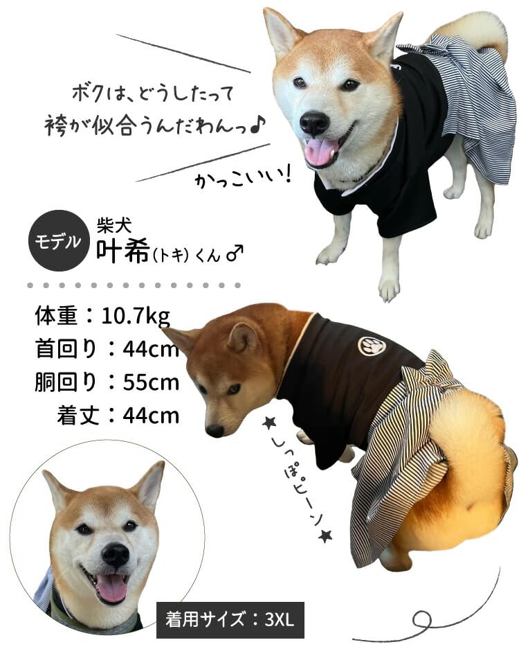 Amazon | inuya 犬服【 薄手 袴 3XL】袴風 肉球マーク 中型犬 晴れ着