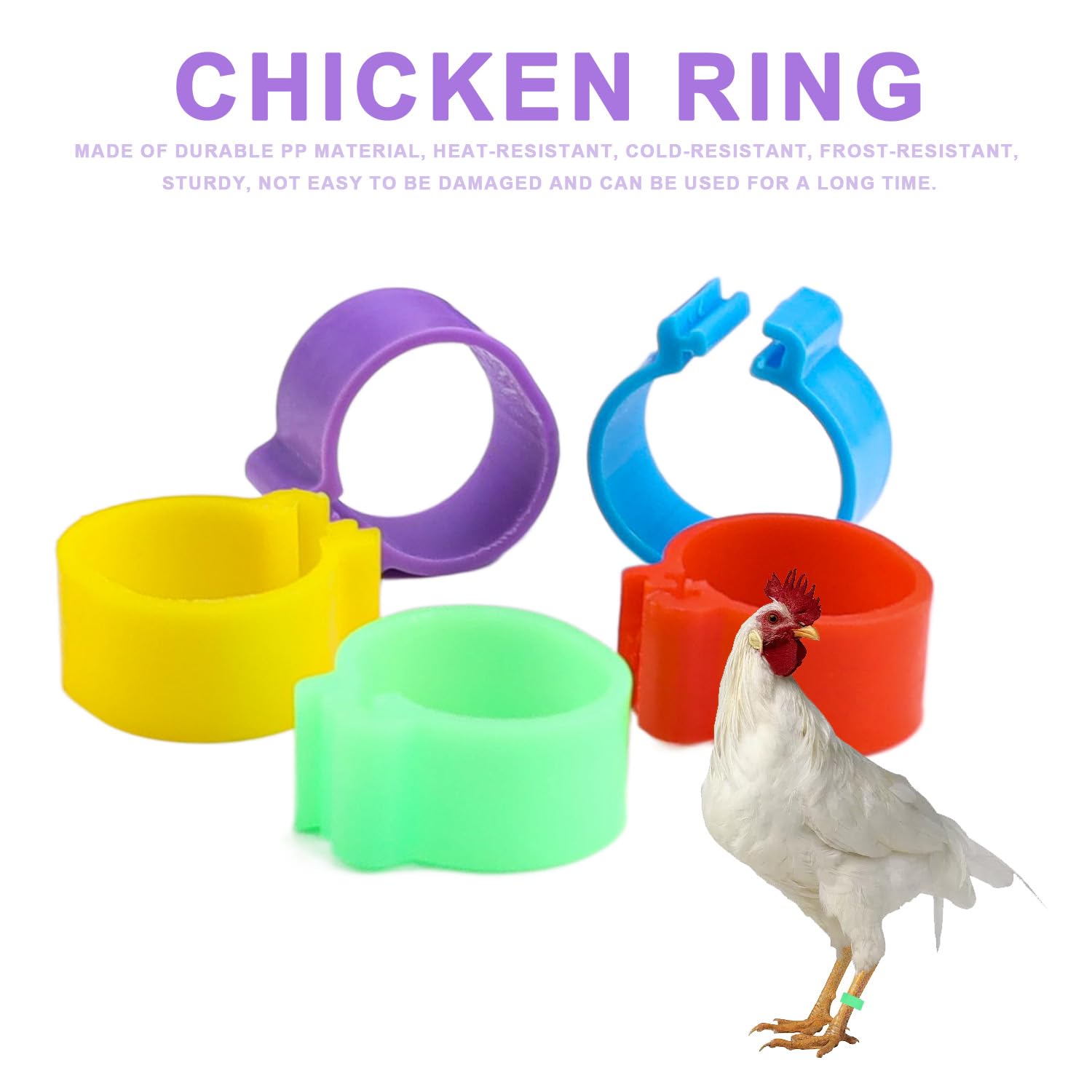 Produktbild von 250x PARFCO Geflügelfußringe 16 Mm – Bunte Plastikringe Für Hühner, Gänse & Enten, Einfach Zu öffnen, Wiederverwendbar, Für 1–5,5 Pfund