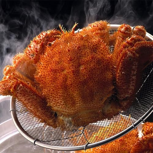 ъI 500g ~ 600g p {C Ⓚ уKj  т ⓀHi  I  Jj т уJj N Nn    蕨 Mtg kC Ε