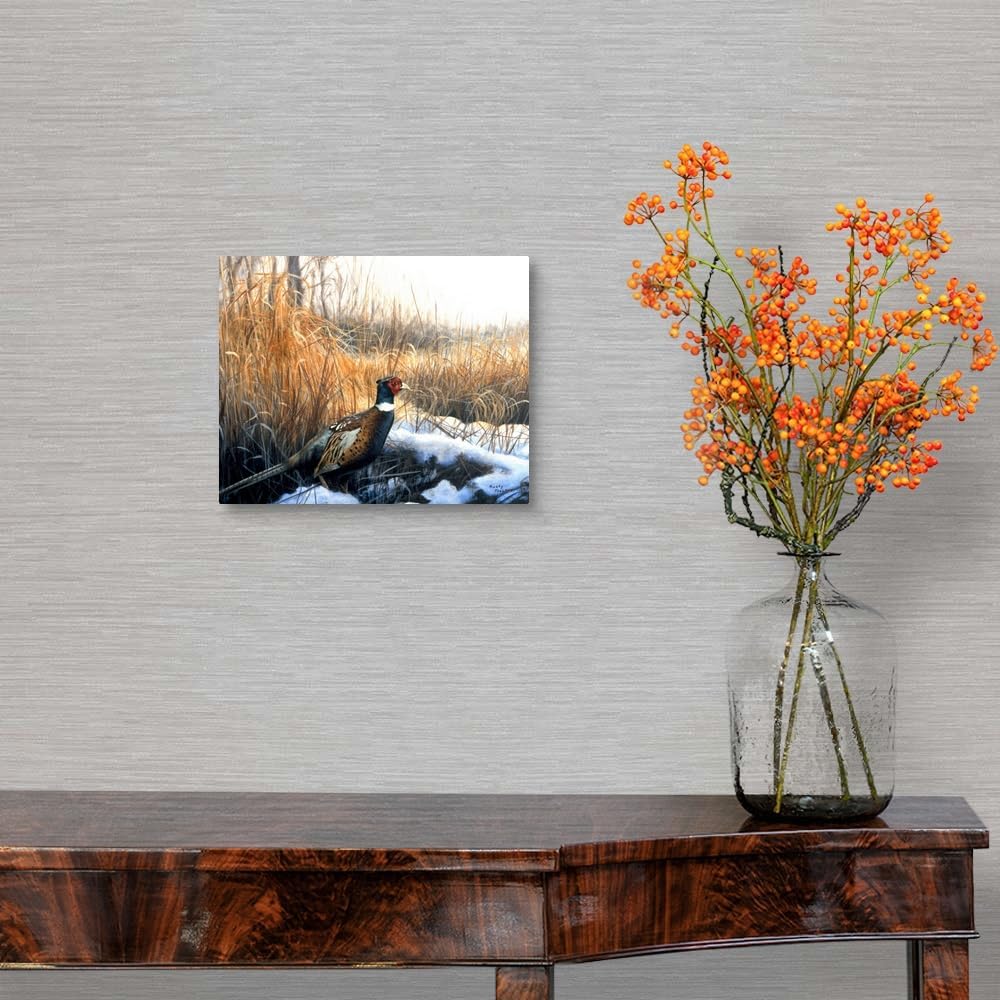 CANVAS ON DEMAND Pheasant Canvas Wall Art Print by Rusty Frentner, Contemporary, Home Decor, Game, Bird,10" x8in
