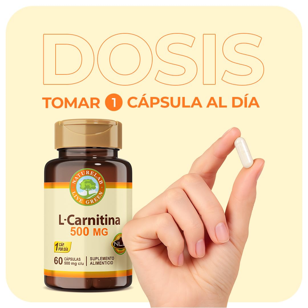 Naturlab L-Carnitina 60 Cpsulas 500 mg : Amazon.com.mx: Salud y Cuidado  Personal