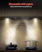 Vista 7 de VEVOR Inserto de campana extractora, campana de ventilación de cocina integrada de 30 pulgadas, campana de estufa de acero de 800 CFM, con control