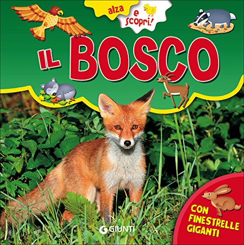 Il bosco. Ediz. a colori Il bosco. Ediz. a colori