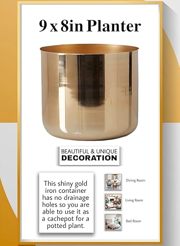Miniatura 6 de Serene Spaces Living Macetero de hierro dorado para interiores, maceta redonda para plantas en maceta, sin orificio de drenaje, decoración ideal