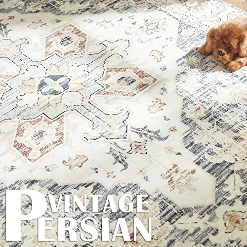 Jinchan Vintage Persian Style Distressed Area Rug #TOP27