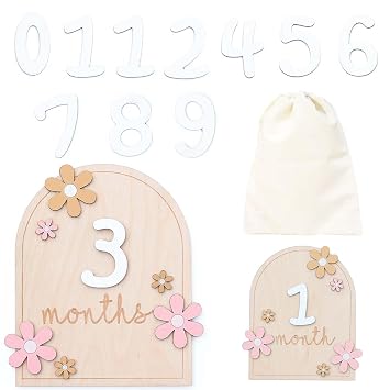 Baby Monthly Milestone Cards, Monthly Baby Milestone Signs, Monthly Milestone Signs for 1-12 Month Baby, Newborn Gift for Girl and Boy Flower