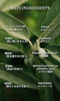 クレイパック エマルジョン クリーム Amazon | MUJI 無印良品 薬用ブライトニングクレイパック 150 g