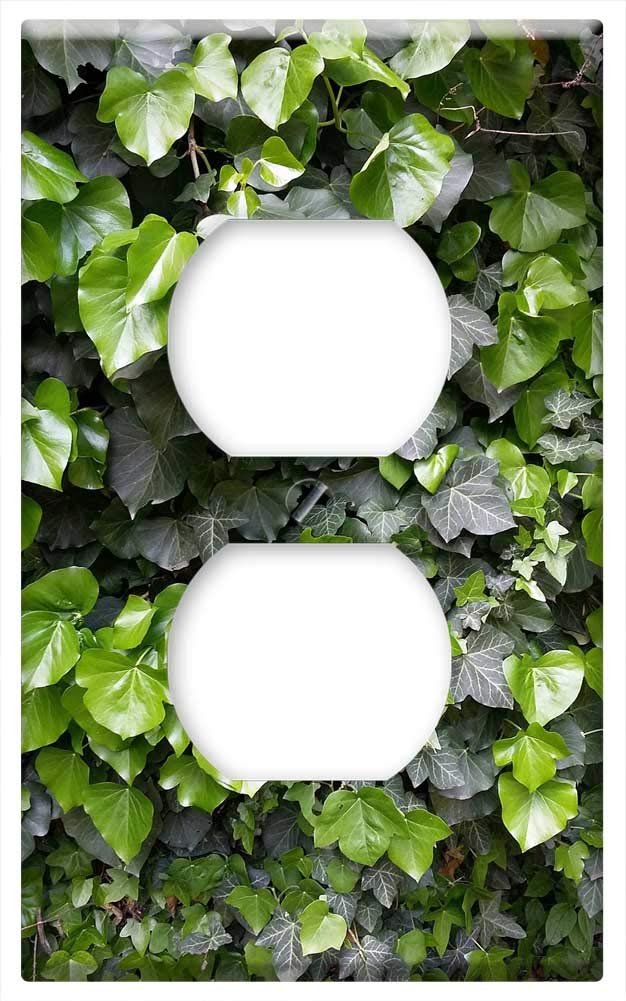 Switch Plate Outlet Cover - Ivy Pop nav Crawl Wall Green Structure Nature