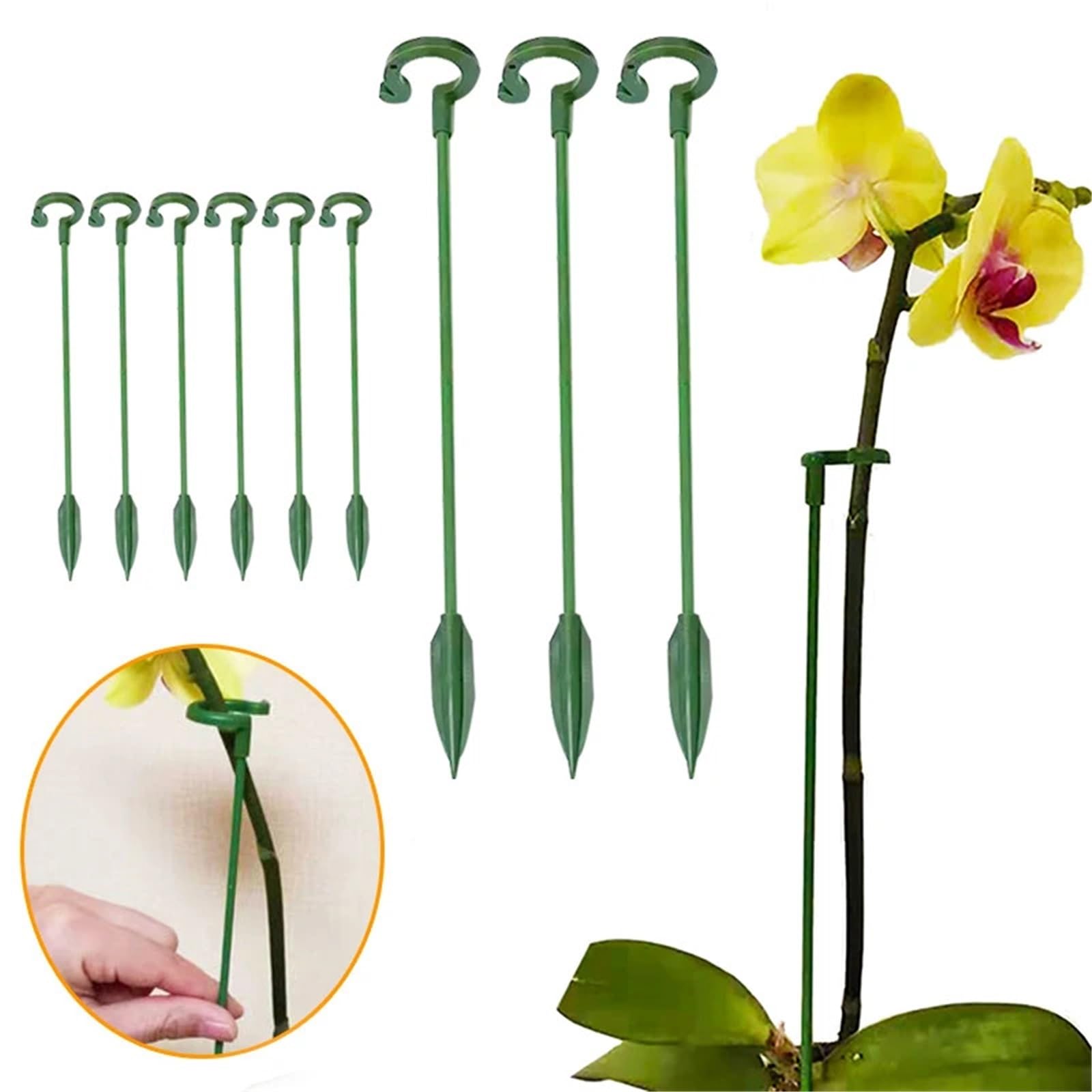 30pcs Plastic Plant Supports für Pfingstrosen, Monstera
