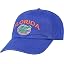 Florida Arch Blue