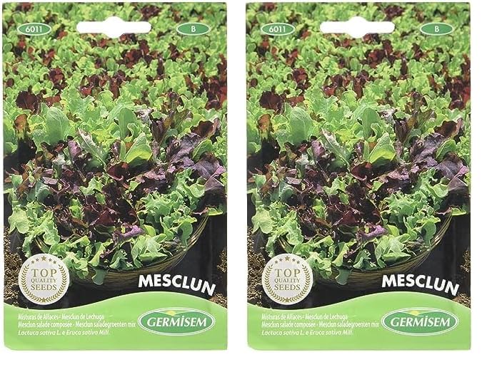 Germisem Mesclun Semillas de Ensalada Mix 4 g (Paquete de 2)