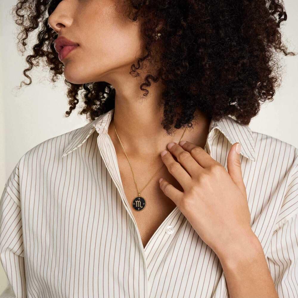 Fossil Collar de acero inoxidable
