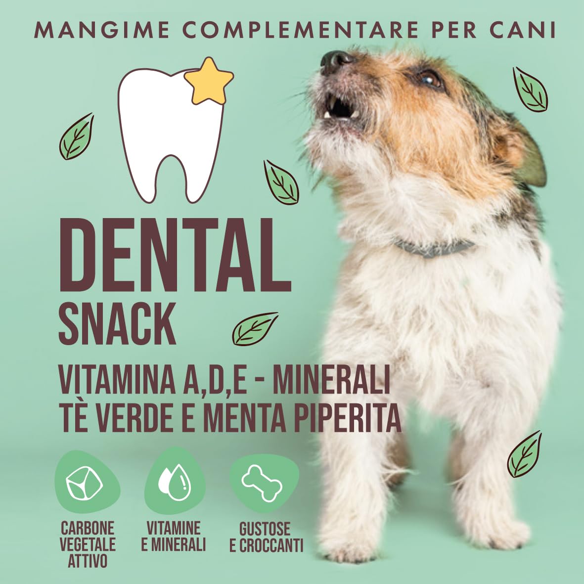 Marty & Co - Snack Dentale- Biscotto- Migliora Alitosi e Previene e Rimuove Tartaro -per Cane e Gatto -Con Menta Piperita, Tè Verde, Vitamina A,D, E, CarboneVegetale Attivo - gr 80