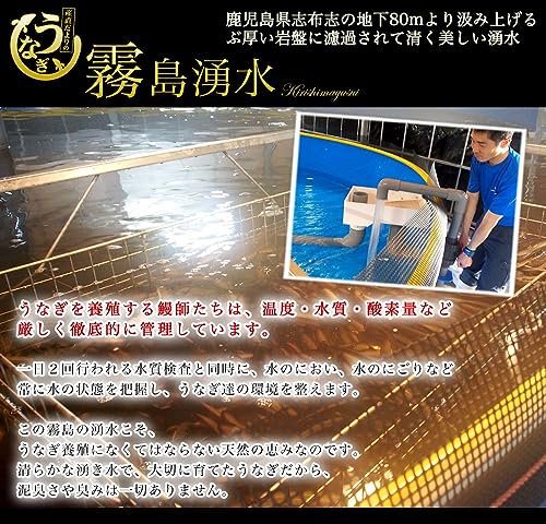 産直だより 霧島湧水うなぎ 長蒲焼き 大サイズ4尾セット の商品画像 3