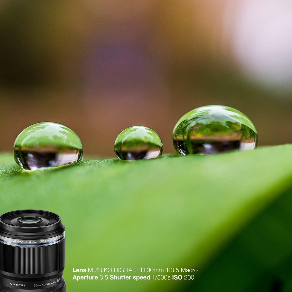 Olympus M. Zuiko Digital ED 30mm F3.5 Macro Lens, Suitable for All MFT Cameras (OM-D & Pen Models, Panasonic G-Series), Black