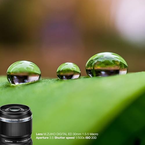 Vista 7 de Olympus M. Zuiko Digital ED - Lente macro F3.5 de 1.181 in, apto para todas las cámaras MFT (modelos OM-D y bolígrafo, serie G de Panasonic)