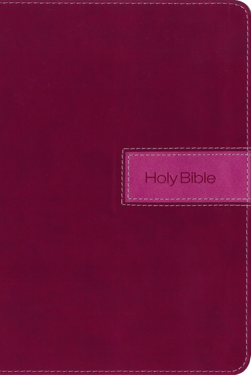 NIV Gift Bible, Leathersoft, Black/Gray, Red Letter