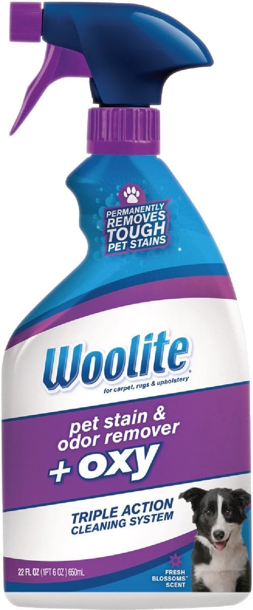 Bissell Woolite Cat/Dog Odor/Stain Remover 22 oz.