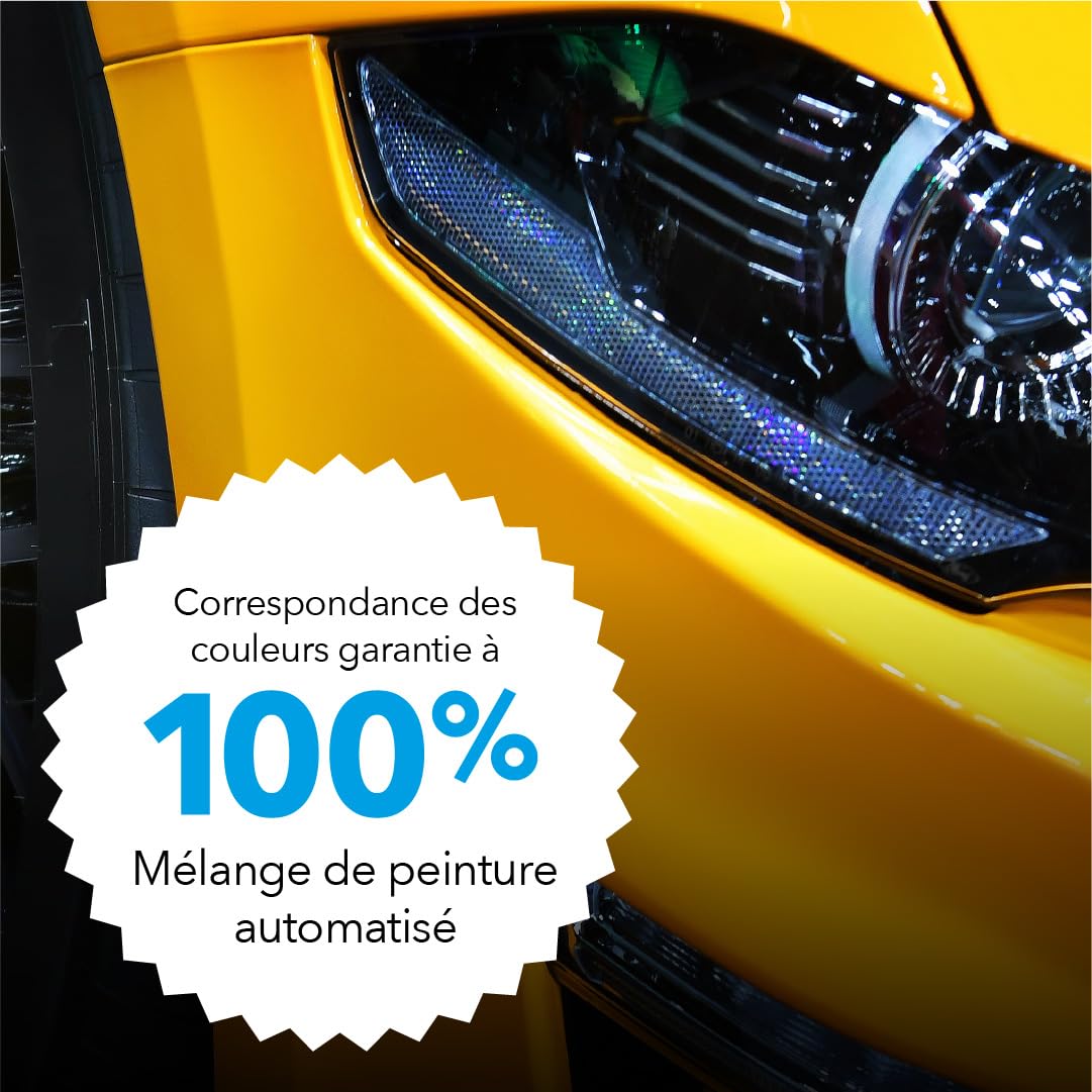 Chipex Kit de retouche Kit de réparation de rayures, peinture automobile mélangée selon le code couleur pour tous les modèles – Correspondance exacte garantie – Version Pro (grand format)